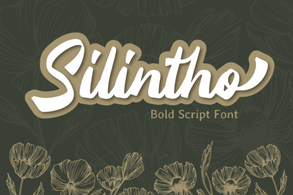Silintho: A Friendly Handshake for Your Brand